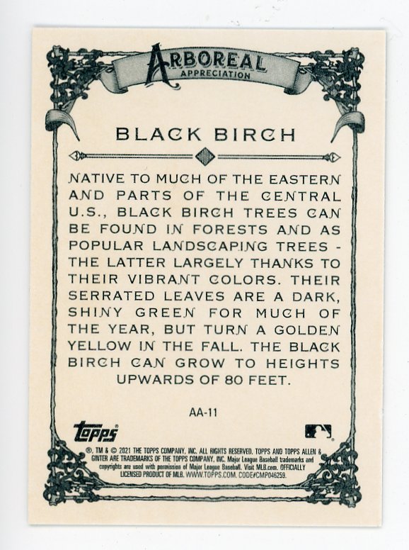 2021 Black Birch Arboreal Appreciation Allen & Ginter # AA-11