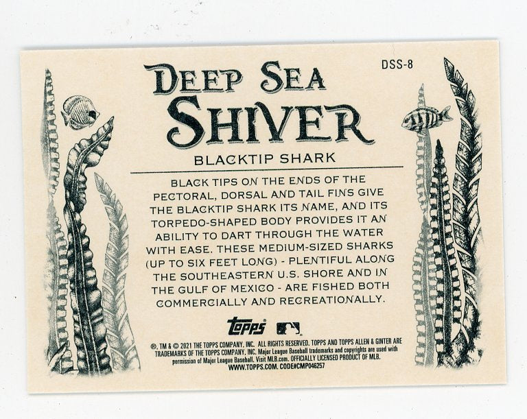 2021 Blacktip Shark Deep Sea Shiver Allen & Ginter # DSS-8