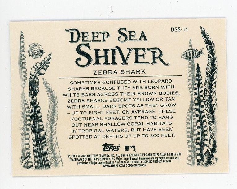 2021 Zebra Shark Deep Sea Shiver Allen & Ginter # DSS-14