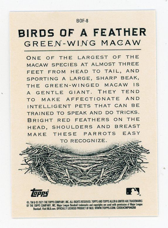 2021 Green-Wing Macaw Birds Of A Feather Allen Ginter # BOF-8