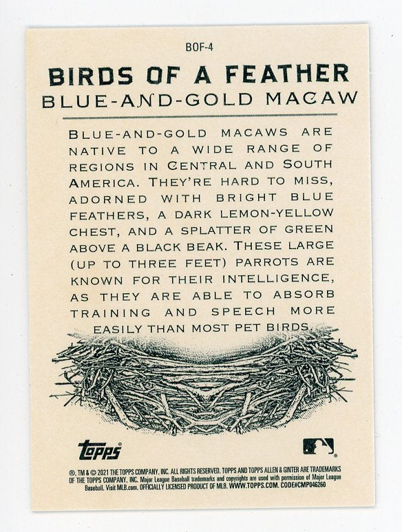 2021 Blue-And-Gold Macaw Birds Of A Feather Allen Ginter # BOF-4