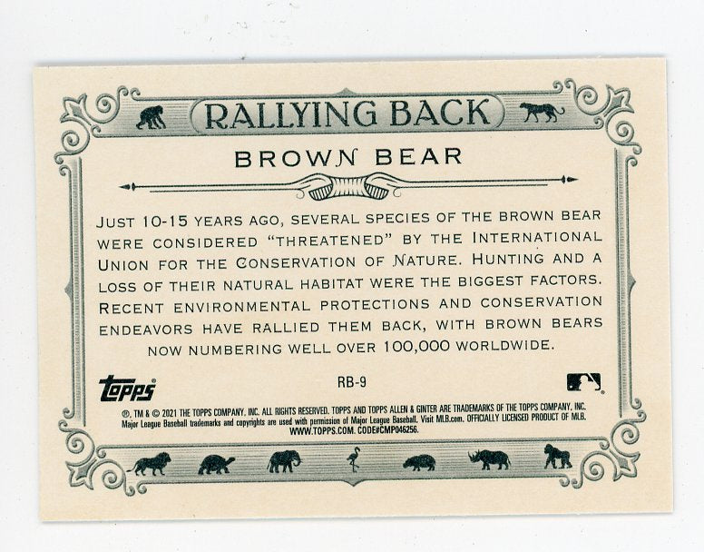 2021 Brown Bear Rallying Back Allen & Ginter # RB-9