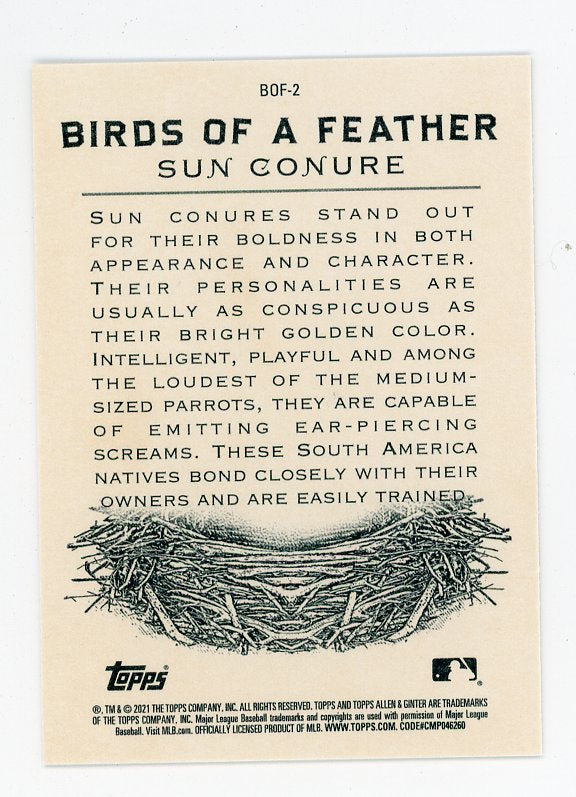 2021 Sun Conure Macaw Birds Of A Feather Allen & Ginter # BOF-2