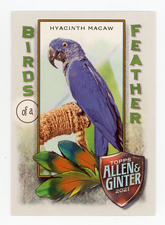 2021 Hyacinth Macaw Birds Of A Feather Allen & Ginter # BOF-6