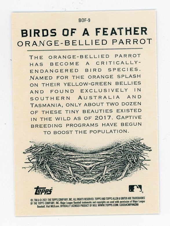 2021 Orange-Bellied Parrot Birds Of A Feather Allen & Ginter # BOF-9
