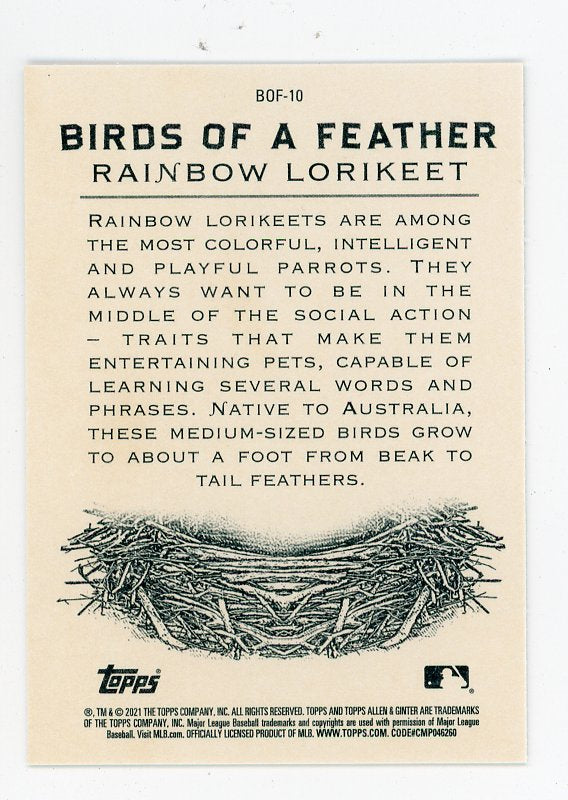 2021 Rainbow Lorikeet Birds Of A Feather Allen & Ginter # BOF-10