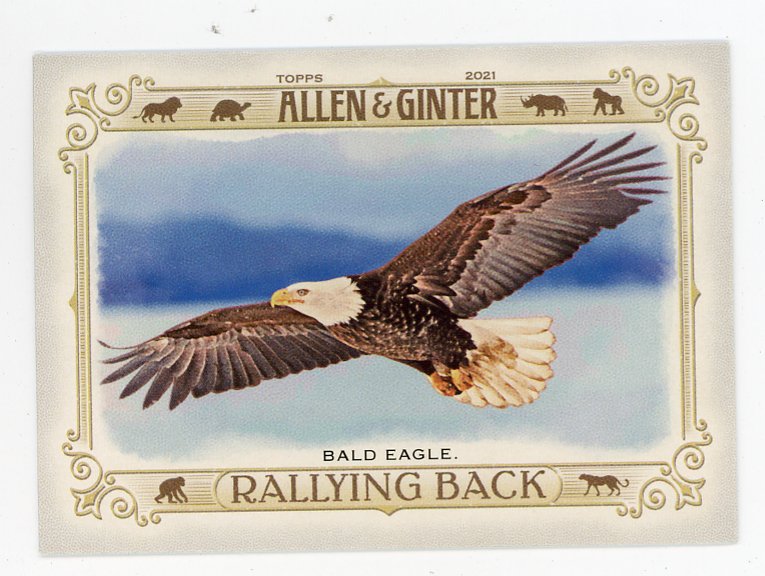 2021 Bald Eagle Rallying Back Allen & Ginter # RB-3