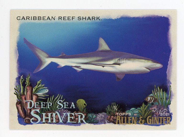 2021 Caribbean Reef Shark Deep Sea Shiver Allen & Ginter # DSS-13
