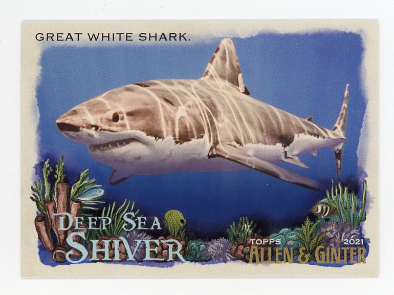 2021 Great White Shark Deep Sea Shiver Allen & Ginter # DSS-1